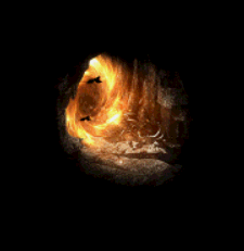 11.gif