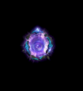 6.gif